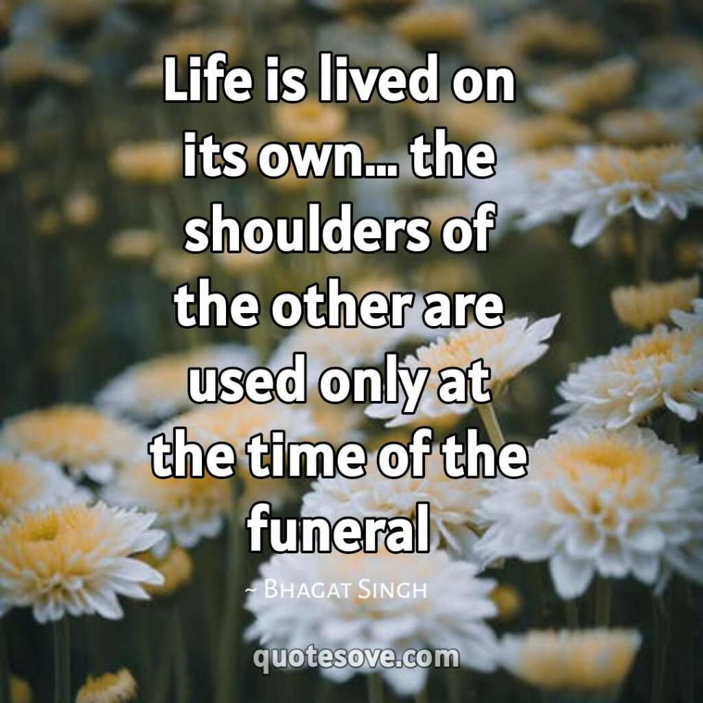 Life is lived on its own