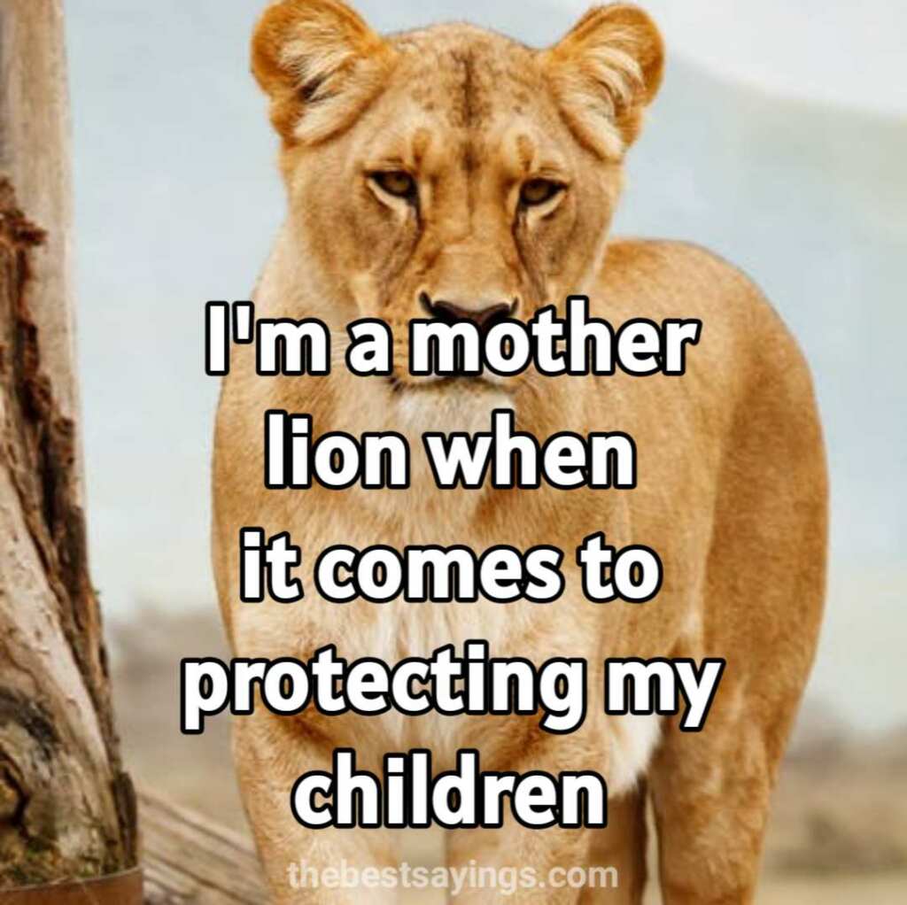 mother lion