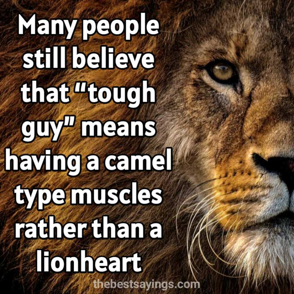 Best Motivational Lion Quotes lion images
