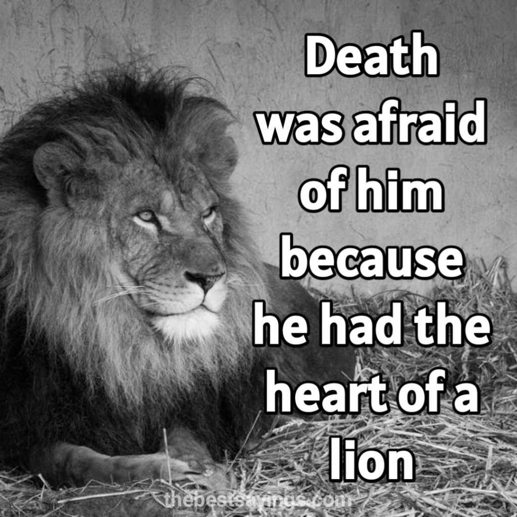 heart of lion