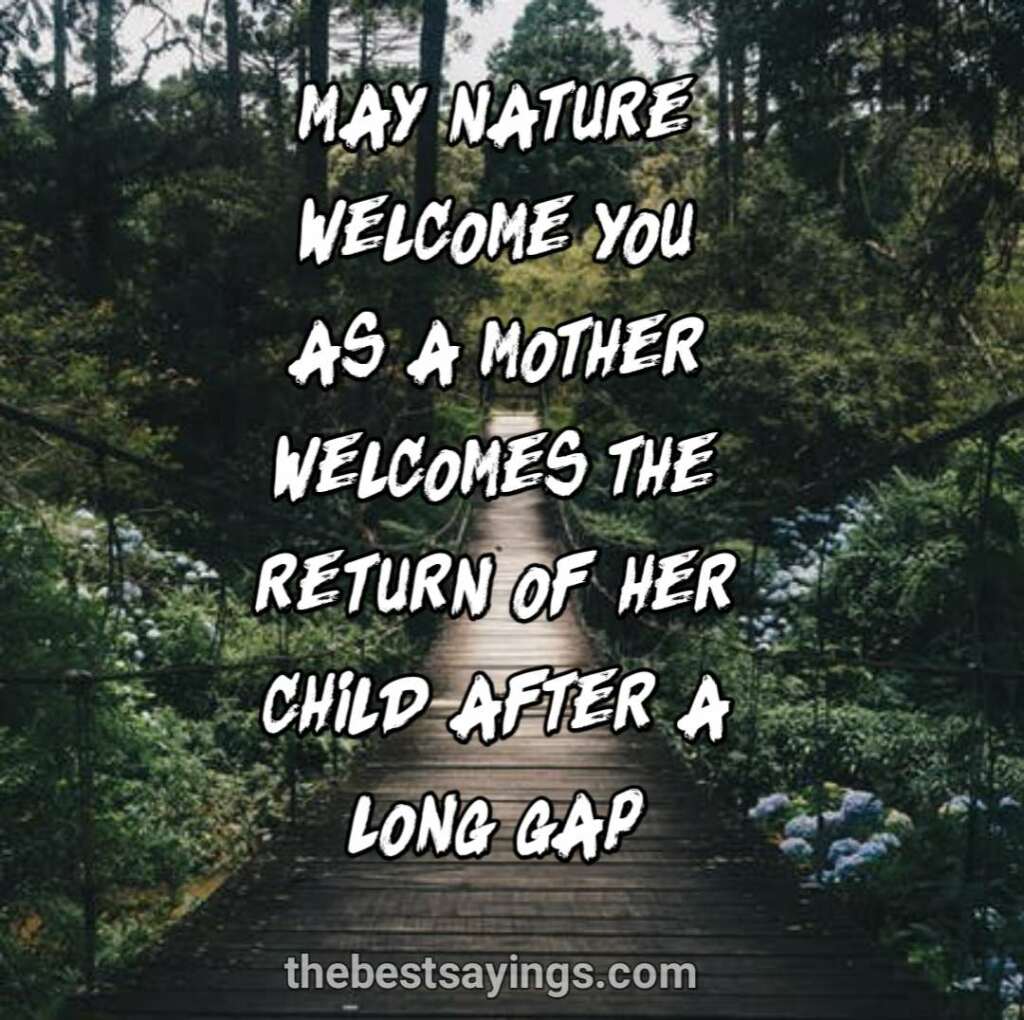 nature welcomes