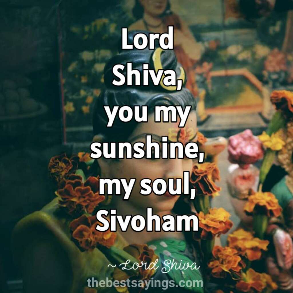 51 Best Lord Shiva Quotes and Sayings