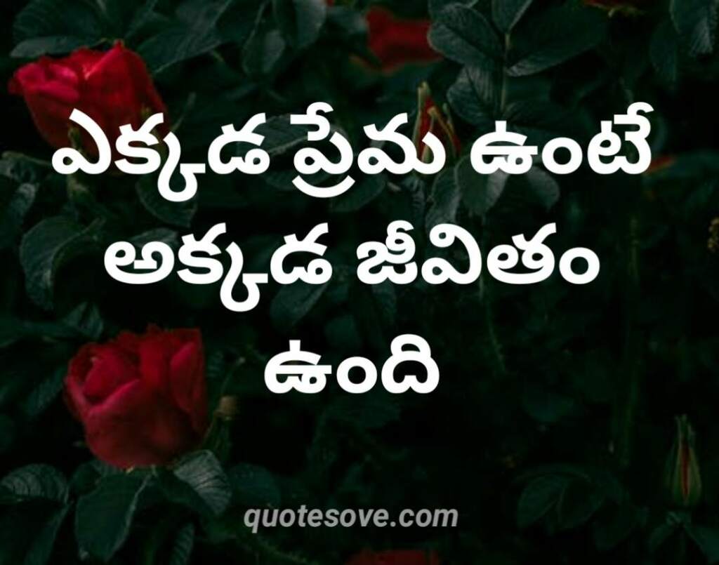 Hear Touching love quotes in Telugu