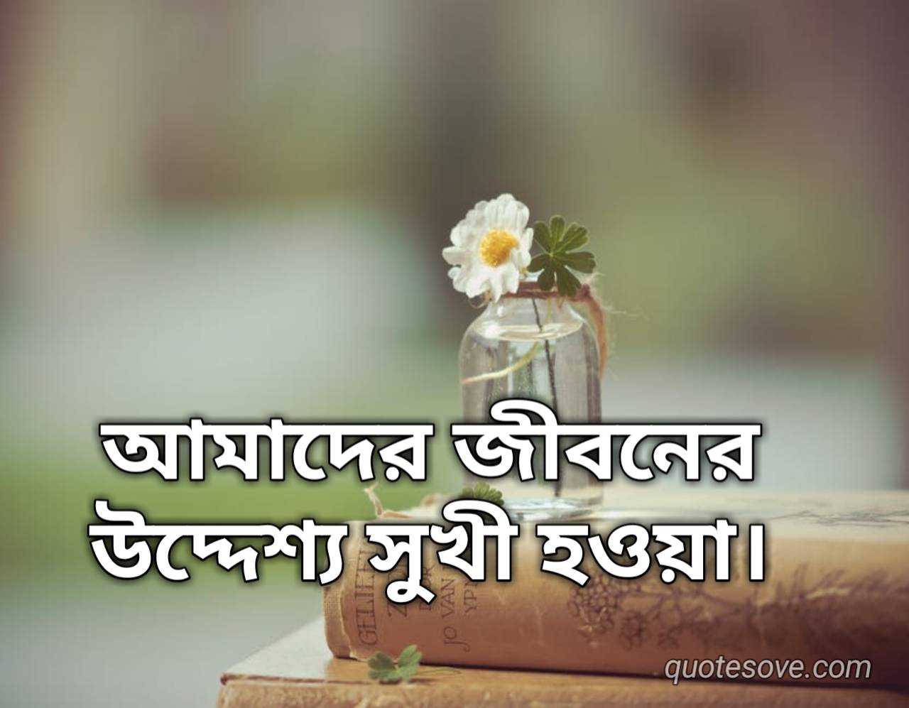 Best Bengali Quotes QuoteSove