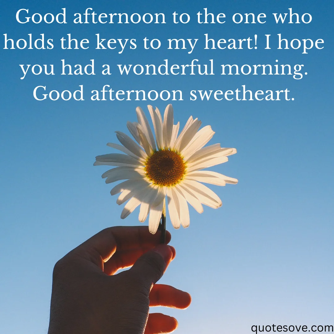 90+ Best Good Afternoon Quotes, Wishes, & Messages » QuoteSove