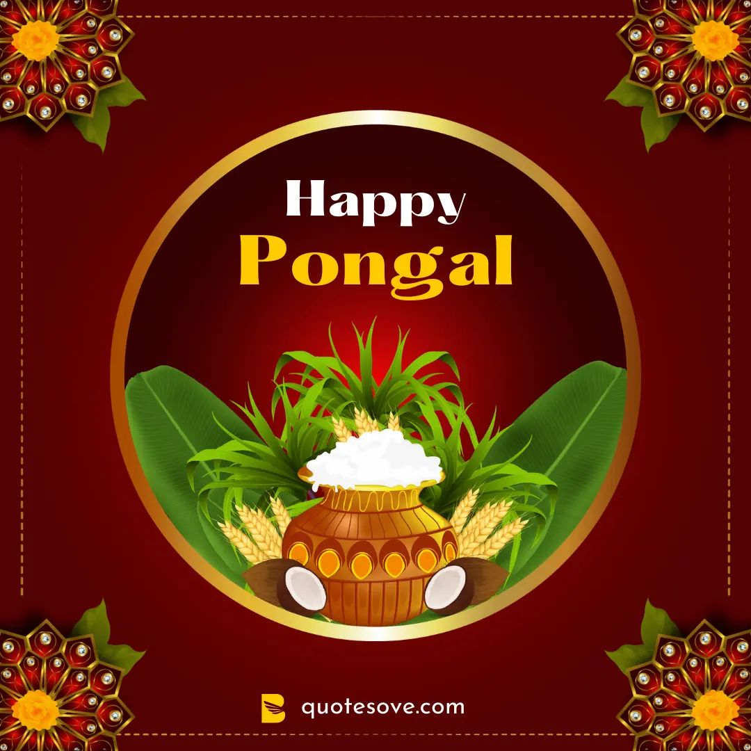 Happy Pongal Wishes 2023, Quotes, & Messages » QuoteSove