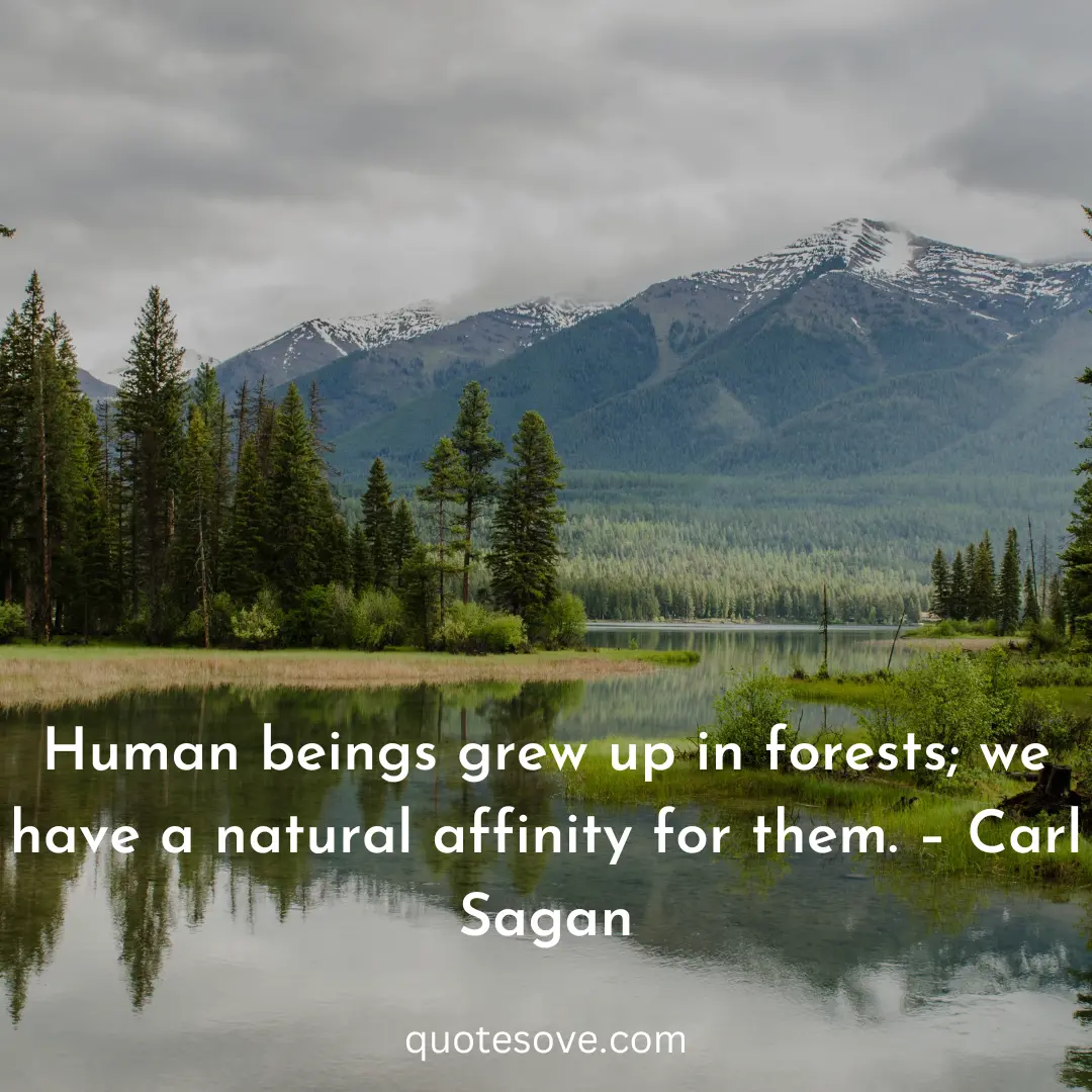 101+ Best Nature Quotes For Instagram, & Captions » QuoteSove